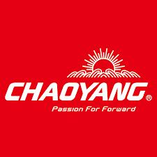 Pneu Chaoyang