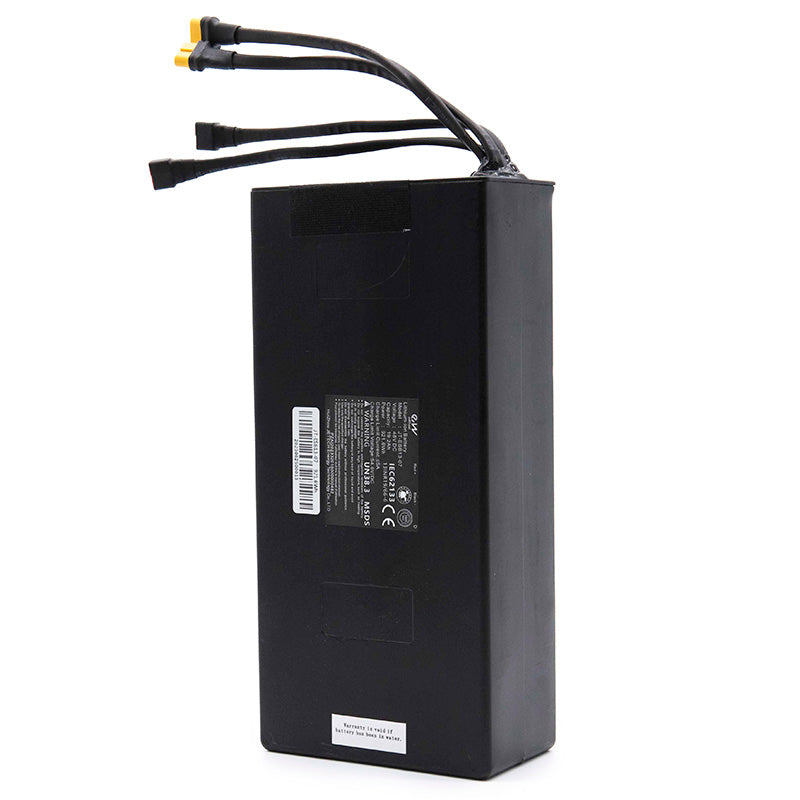 Batterie 48 V 19,2 Ah (cellules EVE) – Trottinette électrique Miscooter