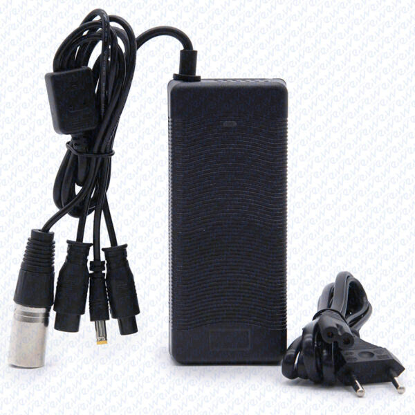 Chargeur multi-usage 52V 2A connecteur GX16/GX12/DC5.5mm/XLR Miscooter