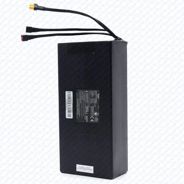 Batterie 48 V 15,6 Ah (cellules EVE) –Trottinette electrique Miscooter 