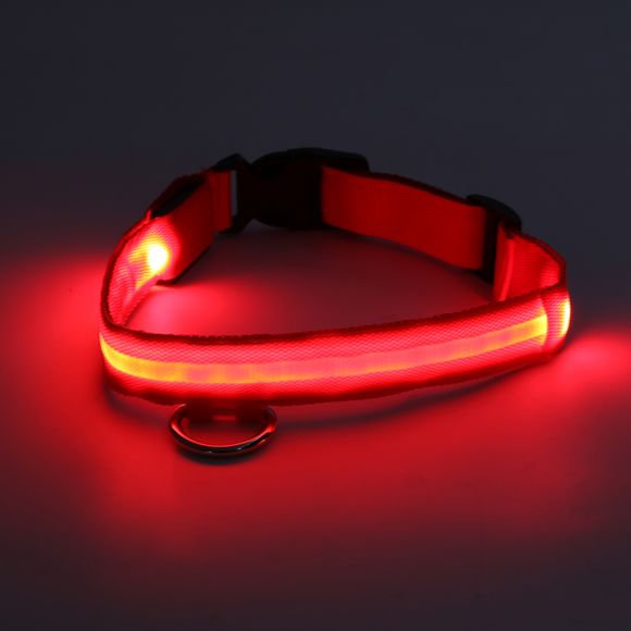 ceinture lumineuse nomad led Miscooter Accessoires